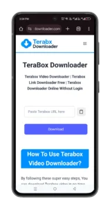 Step 1 Terabox downloader