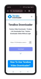 Step 3 Terabox link downloader